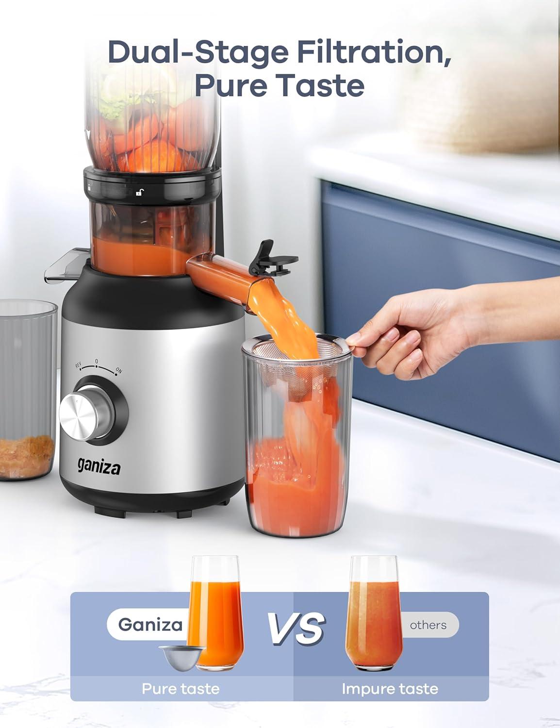 image:imageGaniza Juicer Machines Slow Masticating Juicers with Large Feed Chute for Whole Fruits amp Vegetables Cold Press Juicer with 3 Replace Filters for Batch Juicing Easy to Clean BPA FreeSilver