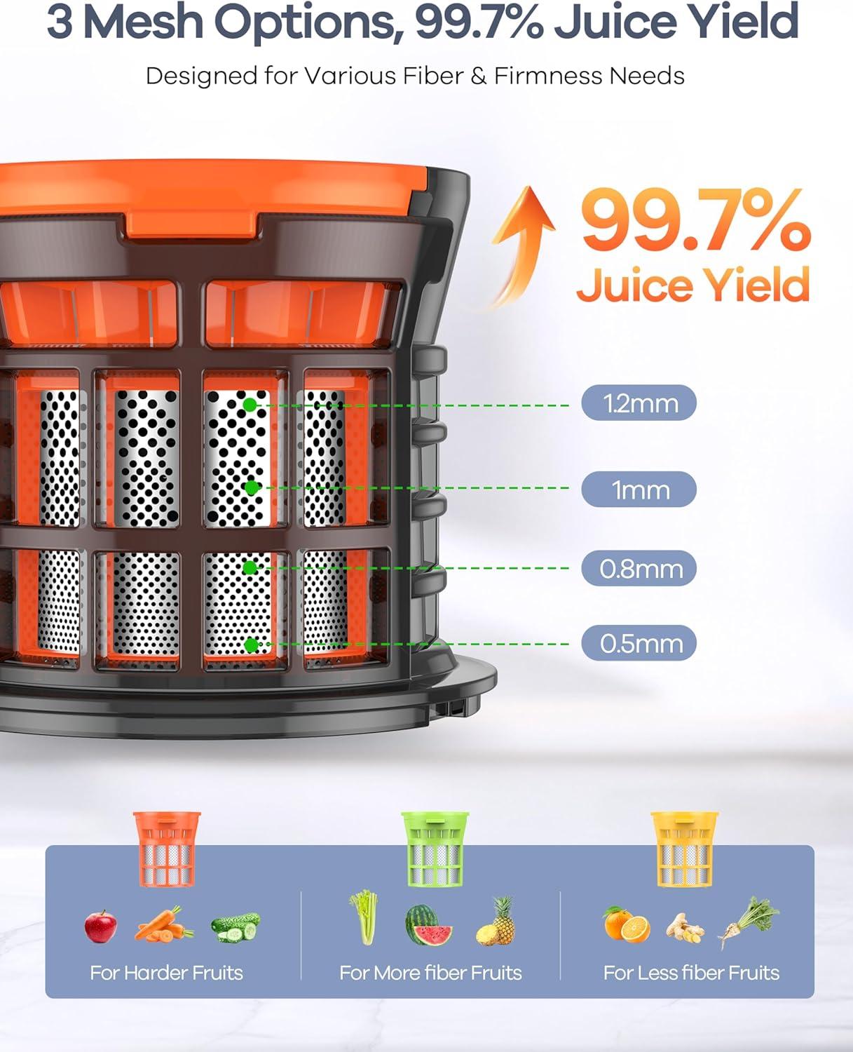 image:imageGaniza Juicer Machines Slow Masticating Juicers with Large Feed Chute for Whole Fruits amp Vegetables Cold Press Juicer with 3 Replace Filters for Batch Juicing Easy to Clean BPA FreeSilver