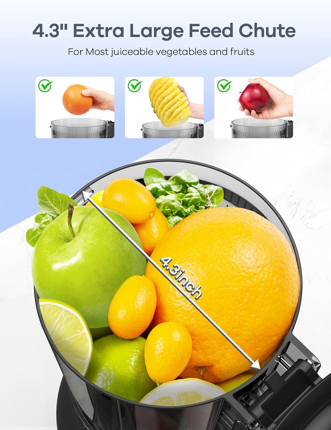 image:imageGaniza Juicer Machines Slow Masticating Juicers with Large Feed Chute for Whole Fruits amp Vegetables Cold Press Juicer with 3 Replace Filters for Batch Juicing Easy to Clean BPA FreeSilver